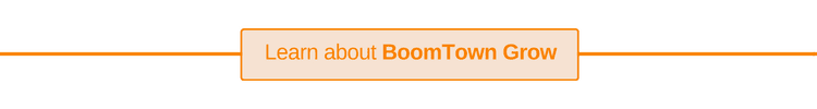 BoomTown Real Estate Grow Software